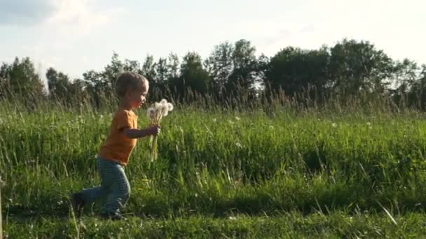 楽しい陽気な子供は 田舎道でタンポポの花束を持って走ります 花の種が風に飛び散る スローモーション — ストック動画