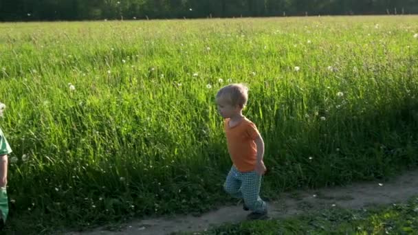 小さな男の子は夏の草原で父親と遊ぶ お父さんはタンポポを吹き飛ばし 子供は飛んで花の種をキャッチしようとします スローモーション — ストック動画