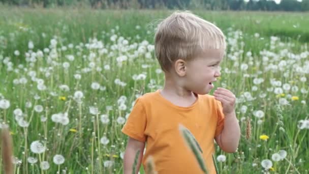 タンポポの多い夏の草原で楽しい陽気な笑いの子供の肖像画 花の種が風に飛び散る スローモーション — ストック動画