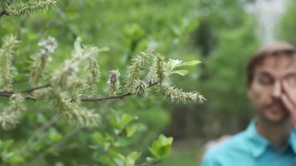 春に咲く柳の木の近くを歩きながらくしゃみをする若者 花粉アレルギーの概念 — ストック動画