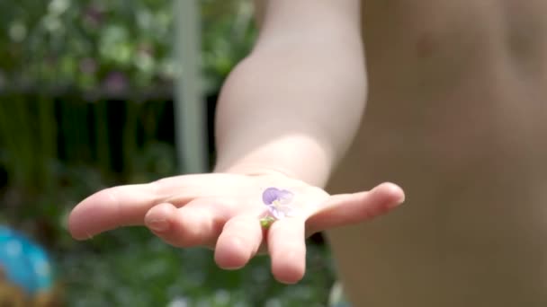 Kleine Blaue Veronika Blume Der Hand Des Niedlichen Neugierigen Kleinkindes — Stockvideo