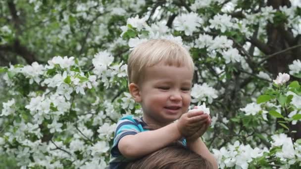 Niño Feliz Sobre Sus Hombros Padres Arroja Pétalos Flores Blancas — Vídeo de stock