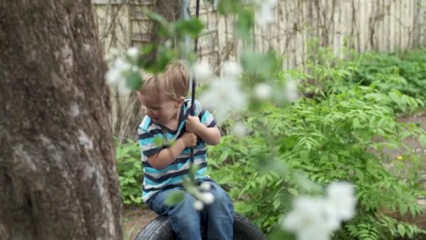 可爱的乡村春天场景 快乐的小男孩在轮胎上摆动 悬挂在花园里盛开的苹果树上 花瓣落在他身上 — 图库视频影像