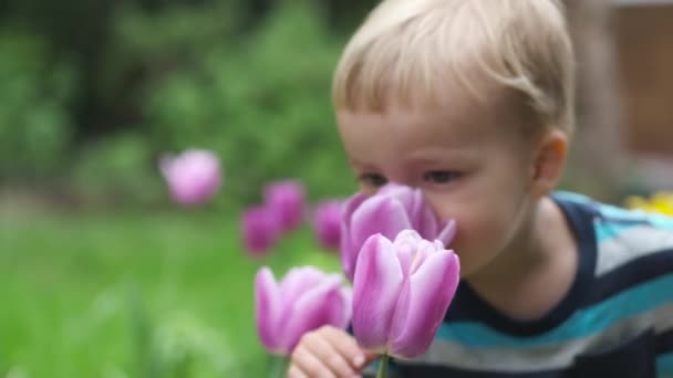 愛らしい小さな子供は庭でチューリップの花を嗅ぎます 自然本能自然に対する感受性 — ストック動画