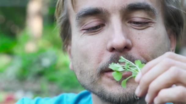 Gelukkige Volwassen Man Eet Vers Geplukt Micro Greens Van Raket — Stockvideo