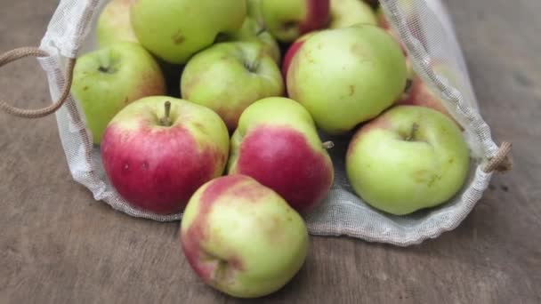Amera Moves Recycled Reusable Mesh Produce Bag Fresh Organic Apples — Stock Video