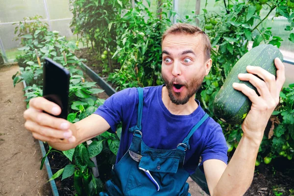 Komik erkek çiftçi serasında taze hasat sebze ile akıllı telefonda selfie yapma.  