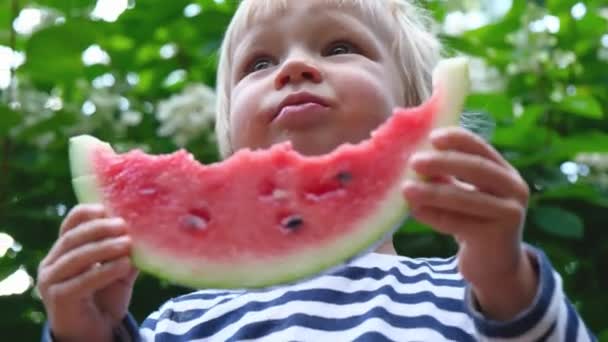 Candid Portret Van Kleine Jongen Eet Verse Watermeloen Groene Natuur — Stockvideo