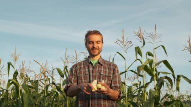 Komik çiftçi bir mısır tarlasının arka planda üç taze mısır koçan hokkabazlık. Tarım hasat kavramı. Yavaş çekim