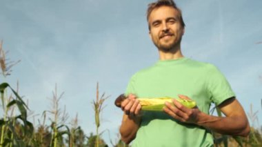 Mısır tarlasında taze mısır koçanlı mutlu çiftçi. Hasat mevsimi. Yakışıklı gülümseyen adam agronomist kameraya mısır gösteren. 