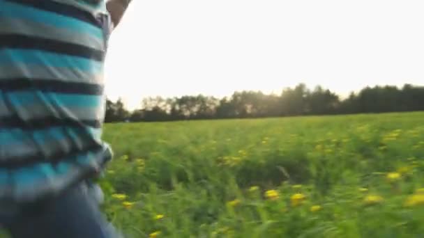 Schattig Peuter Jongen Spelen Bloeiende Veld Met Gele Bloemen Zomer — Stockvideo