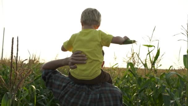 Jeune Père Porte Son Fils Sur Ses Épaules Travers Champ — Video