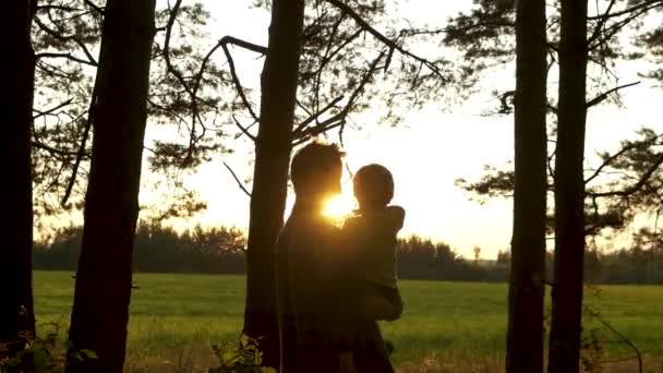 父は彼の腕の中で幼児の息子を保持し 彼らは森の端に夕日に対して互いにキス 父の日 幸せな親 感動的な家族の瞬間 — ストック動画