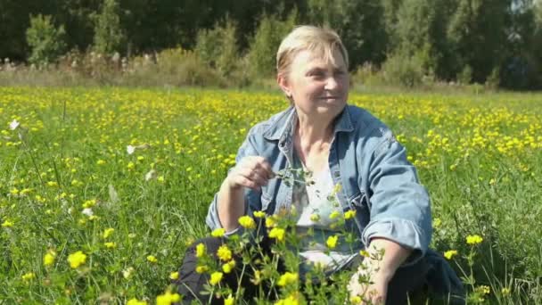 Porträtt Vacker Medelålders Kvinna Sittande Blommande Äng Med Blommor Sommarens — Stockvideo