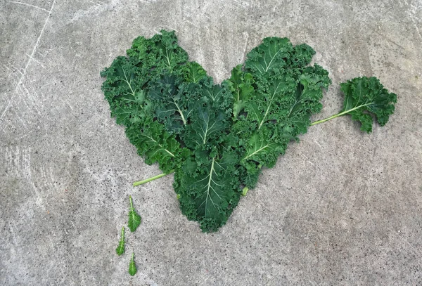 Jantung dibuat dari kubis daun keriting segar kale pada latar belakang semen abu-abu. Konsep makanan sehat. Tampilan lay atau top datar . — Stok Foto