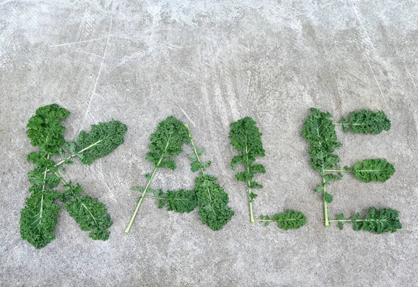 Inskripsi KALE terbuat dari daun keriting segar dari kubis kale pada latar belakang abu-abu. Konsep makanan sehat. Tampilan lay atau top datar . — Stok Foto