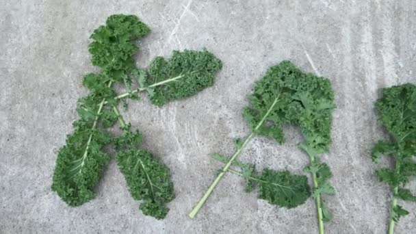 Iscrizione Kale Fatta Fresche Foglie Ricce Cavolo Cavolo Sfondo Grigio — Video Stock