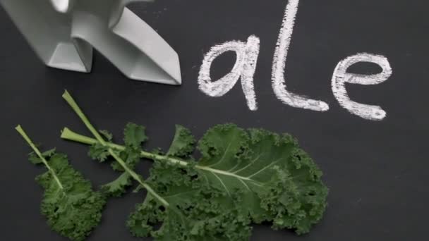 Надпись Kale Сделана Большой Керамической Буквы Мелового Рисунка Свежей Капусты — стоковое видео