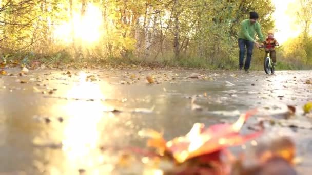 Père Apprend Son Petit Enfant Faire Vélo Dans Parc Automne — Video