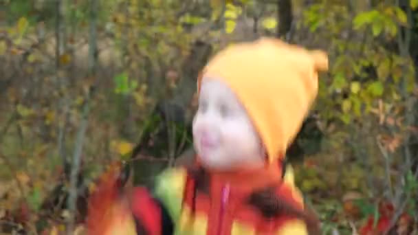 Porträtt Söt Liten Pojke Orange Hatt Och Färgglad Stickad Tröja — Stockvideo