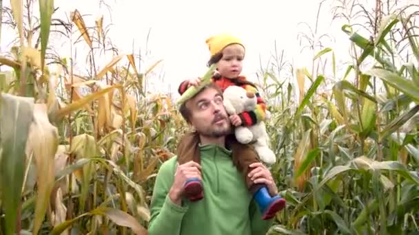 Lindo Niño Suéter Colorido Sentado Sobre Los Hombros Padre Con — Vídeos de Stock