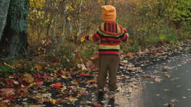 Mignon petit enfant en chapeau orange et chandail tricoté coloré avec des feuilles d'érable jaune dans les mains saute sur la route avec un feuillage d'automne dans le parc d'automne. Mouvement lent . 