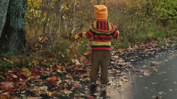 Turuncu Şapkalı Şirin Bir Çocuk Elinde Sarı Akçaağaç Yaprakları Olan — Stok video