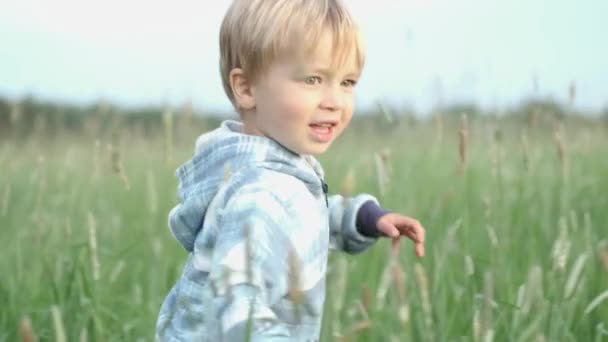 夏のモトレー草原を走るかわいい金髪の白人の子供の少年の肖像画 幸せな子供時代 自然の美しい瞬間 スローモーション — ストック動画