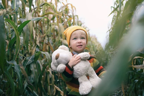 Pequeño Aventurero Niño Pequeño Con Amigo Juguete Oso Taddy Explorar —  Fotos de Stock