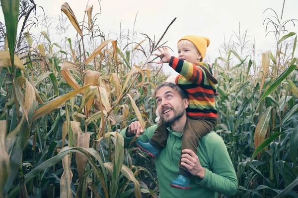 Père Porte Petit Fils Dans Ses Épaules Marche Travers Champ — Photo