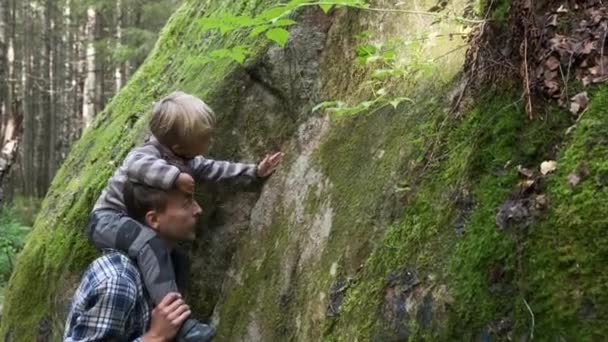 Padre Hijo Caminando Bosque Explorando Plantas Musgo Verde Roca Aventura — Vídeos de Stock