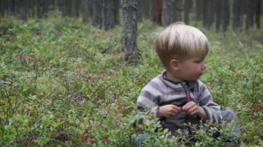 Ormandaki yeşil çalılıklardan yabanmersini toplayıp yiyen sevimli küçük çocuk. Sağlıklı yiyecekler için çiğ süper yiyecek. Mevsimlik organik böğürtlen hasadı.