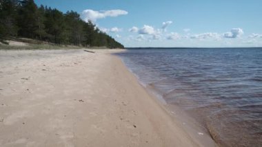 Güneşli bir günde Onega Gölü kıyısında sakin ve sakin bir sahil manzarası, Rusya 'nın kuzeyi Karelia..