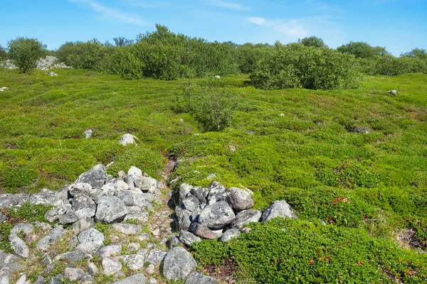 Ancient stone labyrinth in the Russian north. Landscape, nature
