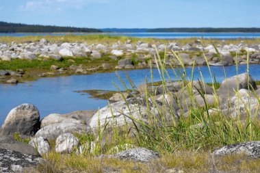 Issız beyaz deniz kıyısında. Manzara, doku, arka plan, doğa