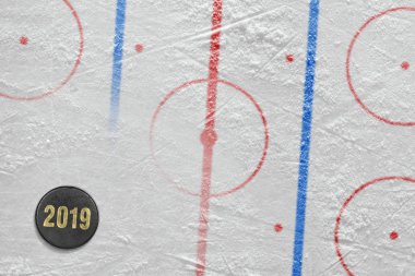 Buz hokeyi arena ve Pak