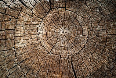 Çatlaklar ile yıpranmış eski ahşap günlük çapraz kesim