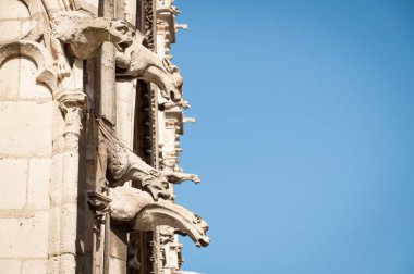 Notre Dame de Paris Galerie des Chimeras parçası 