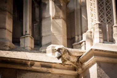 Notre Dame de Paris Chimera kuş