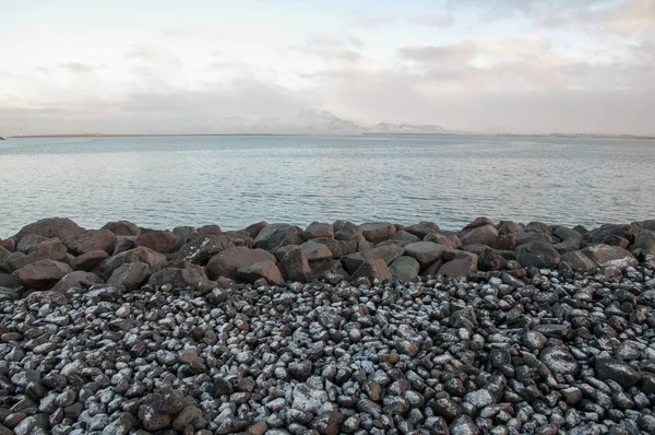 Rochas Geladas Uma Praia Reykjavik Islândia — Fotografia de Stock