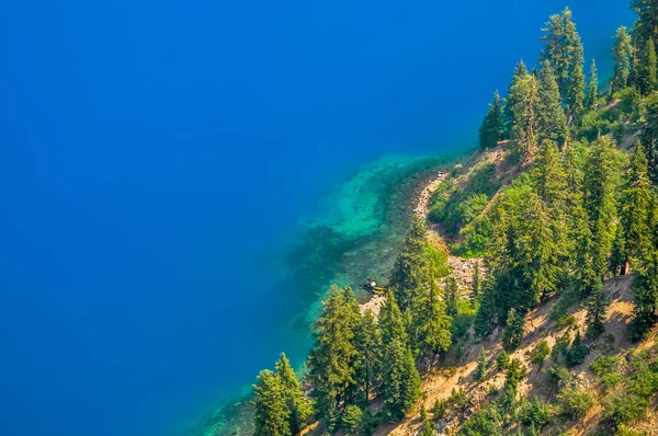 Arbres par l'eau bleue intense du lac Crater — Photo