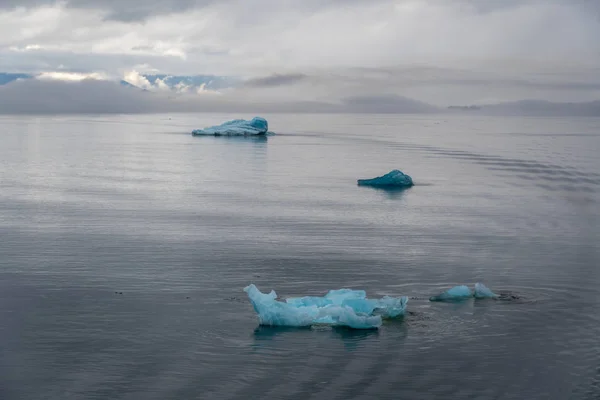 Veaux de glaciers dans la baie Holkham — Photo