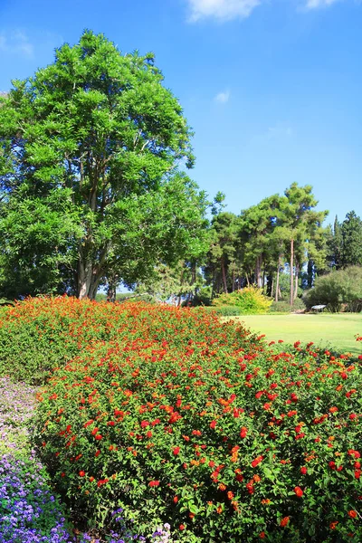 Park Ramat Hanadiv Memorial Tuinen Van Baron Edmond Rothschild Zichron — Stockfoto