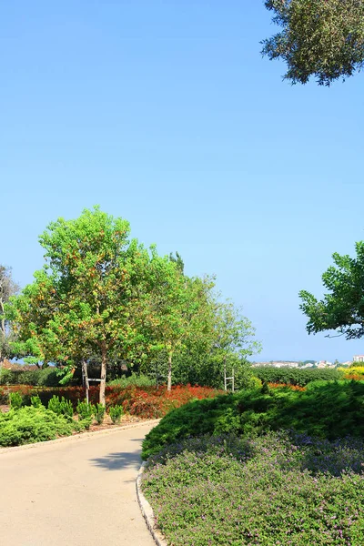 Ramat Hanadiv Baron Edmond Rothschild Zichron Yaakov Srail Memorial Gardens — Stok fotoğraf