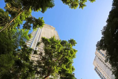 Gökdelenler ve yeşillik ağaçların Tel Aviv, İsrail