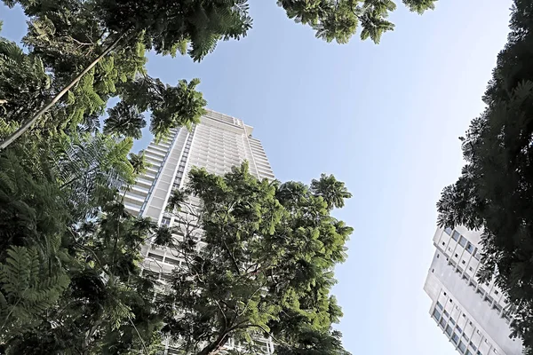 Wolkenkrabbers Het Gebladerte Van Bomen Tel Aviv Israël — Stockfoto