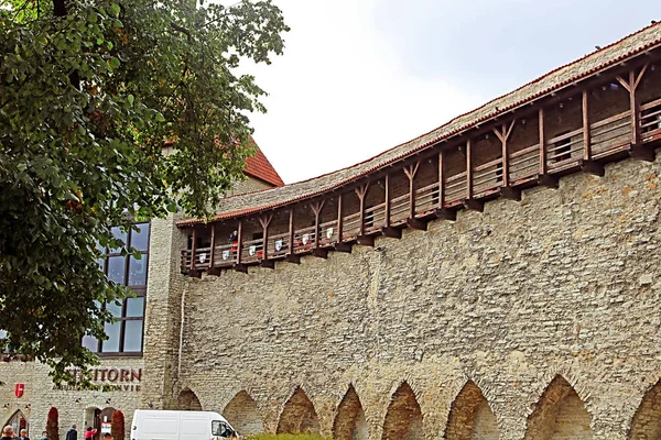 Tallinn Estonya Ağustos 2018 Tallinn Duvarlar Kalesi Duvarlar Birçok Gates — Stok fotoğraf