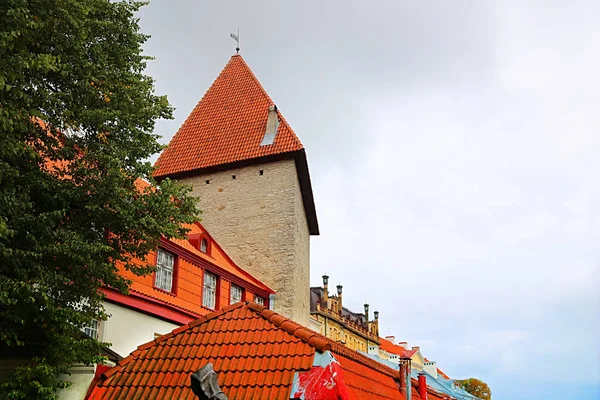 Tour Des Murs Forteresse Tallinn Les Murs Les Nombreuses Portes — Photo