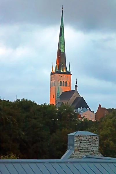 Campanario Iglesia San Nicolás Tallin Por Noche Estonia —  Fotos de Stock