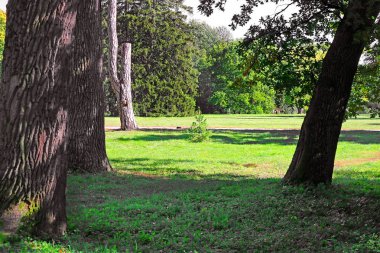 Park 